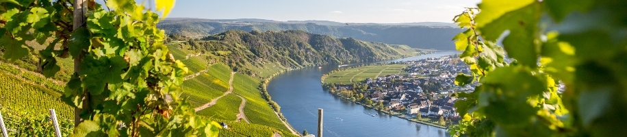 Mosel