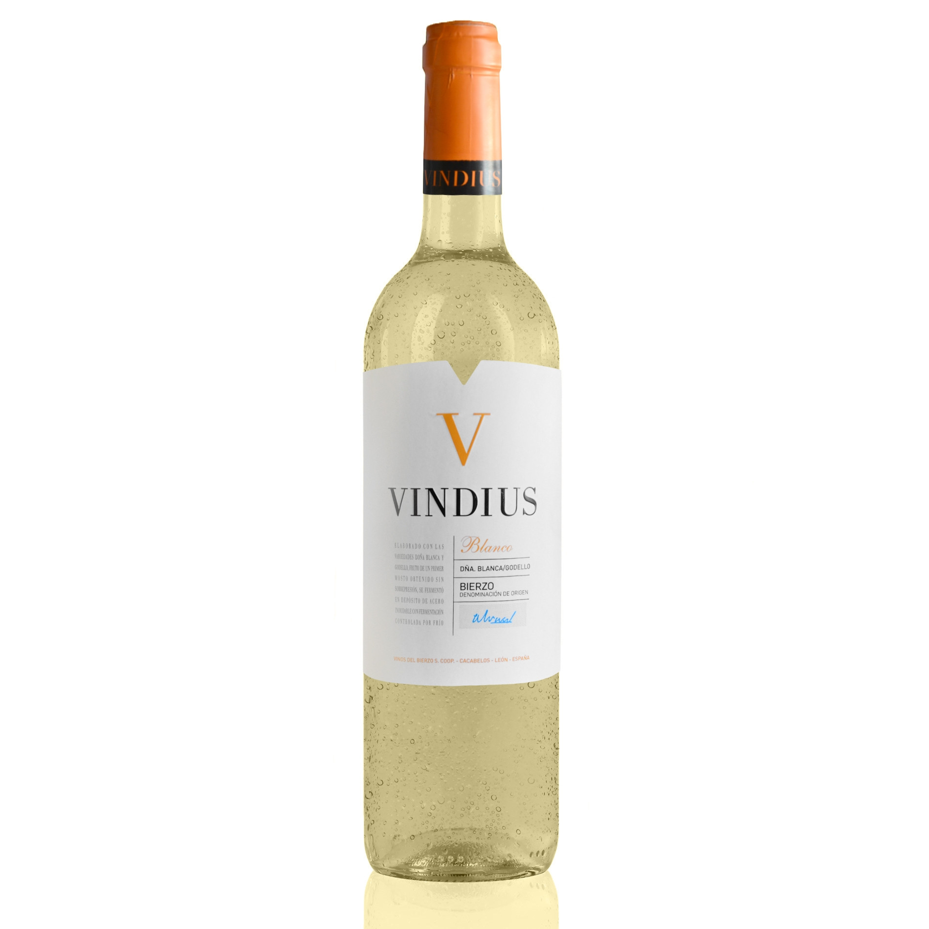 vindius 12er weinpaket sortiert vino delicato premium weine wein weine weinhandel qualitatsweine