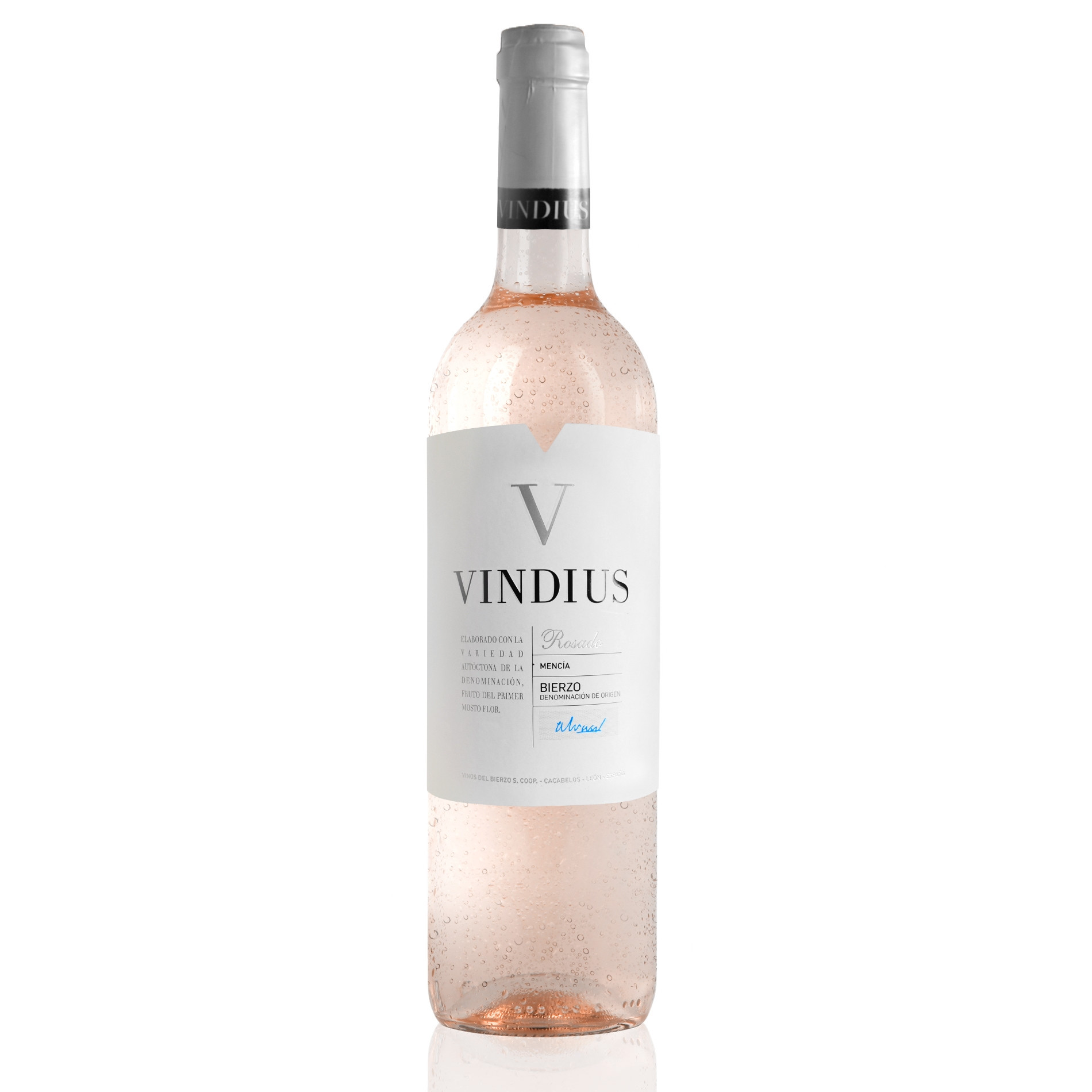 vindius 12er weinpaket sortiert vino delicato premium weine wein weine weinhandel qualitatsweine