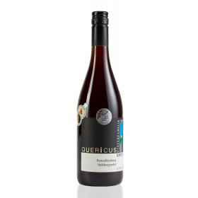 Quericus